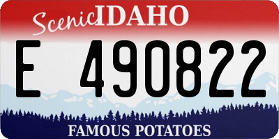 ID license plate E490822