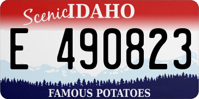 ID license plate E490823