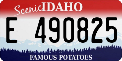 ID license plate E490825