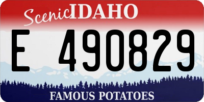 ID license plate E490829