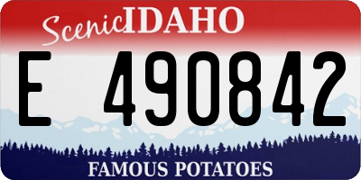 ID license plate E490842