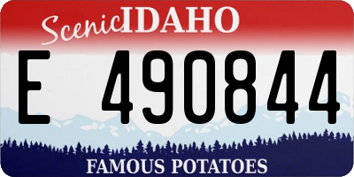 ID license plate E490844