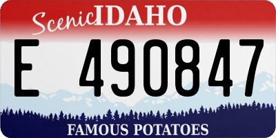 ID license plate E490847