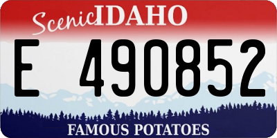 ID license plate E490852