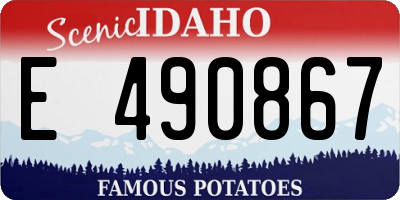 ID license plate E490867