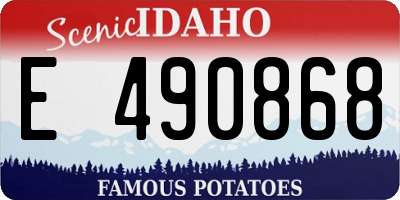 ID license plate E490868