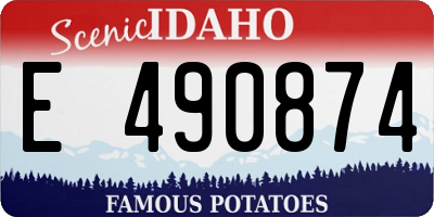 ID license plate E490874