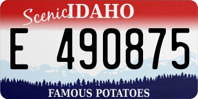 ID license plate E490875