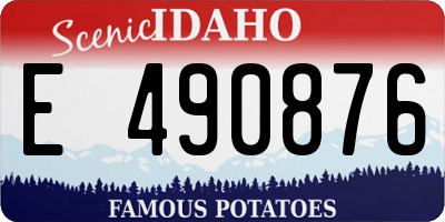 ID license plate E490876
