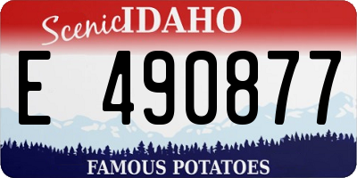 ID license plate E490877