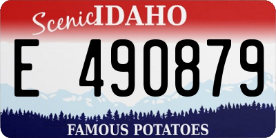 ID license plate E490879