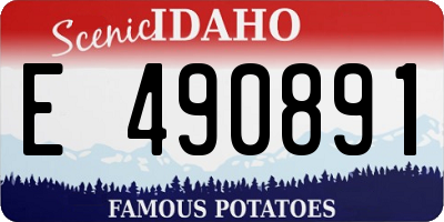 ID license plate E490891