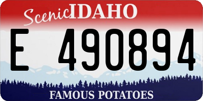 ID license plate E490894