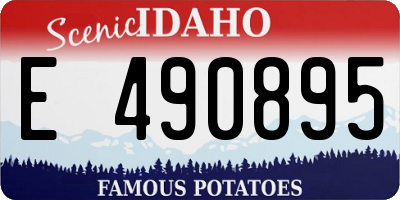 ID license plate E490895