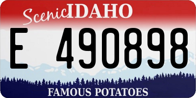 ID license plate E490898