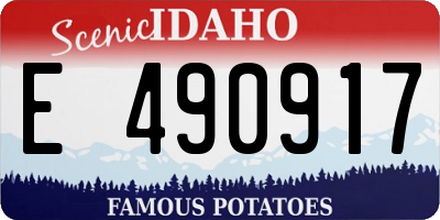 ID license plate E490917