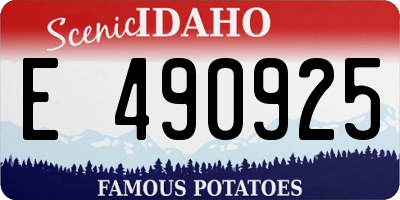 ID license plate E490925