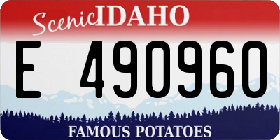 ID license plate E490960