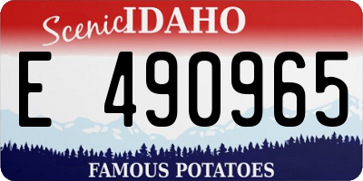 ID license plate E490965