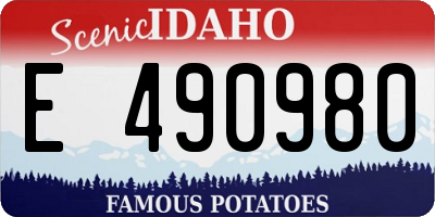 ID license plate E490980