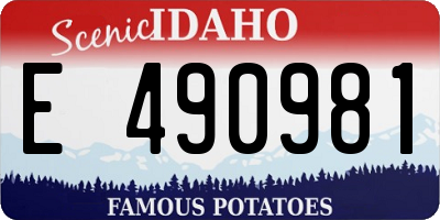 ID license plate E490981