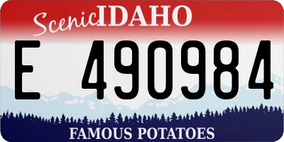 ID license plate E490984