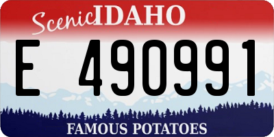 ID license plate E490991