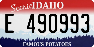 ID license plate E490993