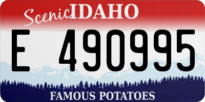 ID license plate E490995