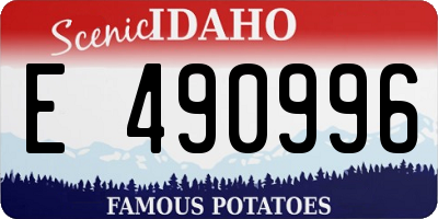 ID license plate E490996