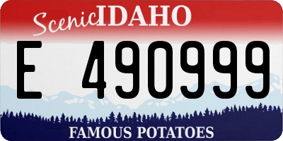 ID license plate E490999