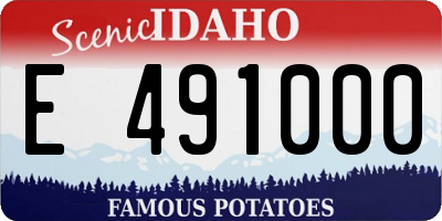 ID license plate E491000