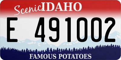 ID license plate E491002