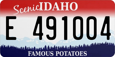 ID license plate E491004