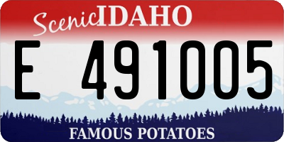 ID license plate E491005