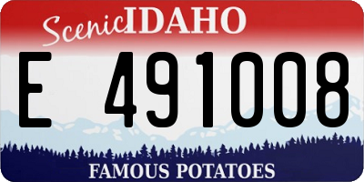 ID license plate E491008