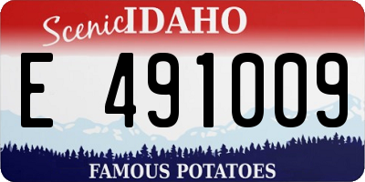 ID license plate E491009