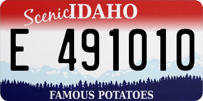 ID license plate E491010