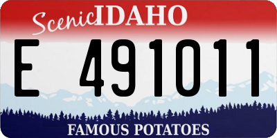 ID license plate E491011