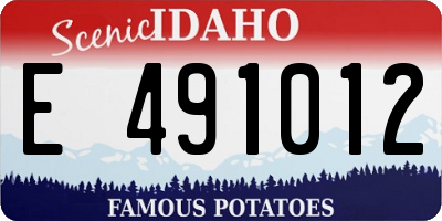 ID license plate E491012