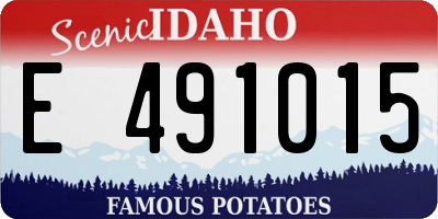 ID license plate E491015