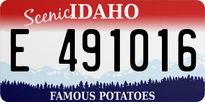 ID license plate E491016