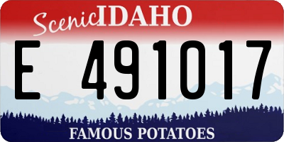 ID license plate E491017
