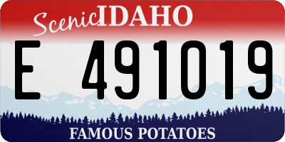 ID license plate E491019
