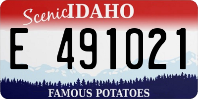ID license plate E491021