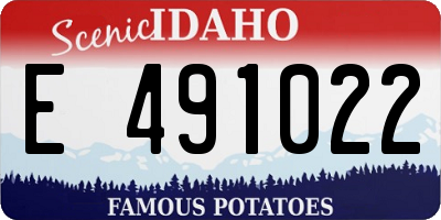ID license plate E491022