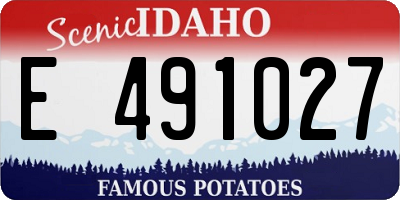 ID license plate E491027
