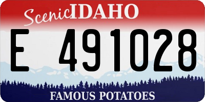 ID license plate E491028