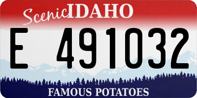 ID license plate E491032
