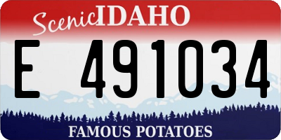 ID license plate E491034